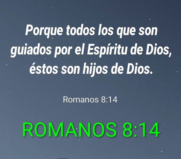 CesarLLagunoG's tweet photo. ¿Sabes quiénes son hijos de DIOS?

Porque Escrito Está. https://t.co/nHo6HFYows