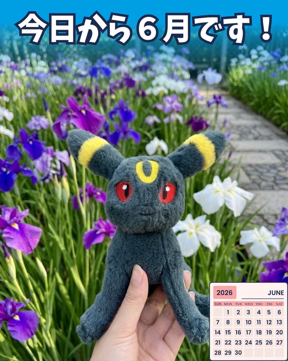 topper180's tweet photo. おはようございます☀ 

今日からついに6月がスタートですね！
近くの公園のアヤメが綺麗に咲いていて、季節の移り変わりを感じます✨
台風も近づいているので皆様どうぞお気をつけください。

今月もよろしくお願いします！
＃ポケぬい https://t.co/6EduFBNHRi