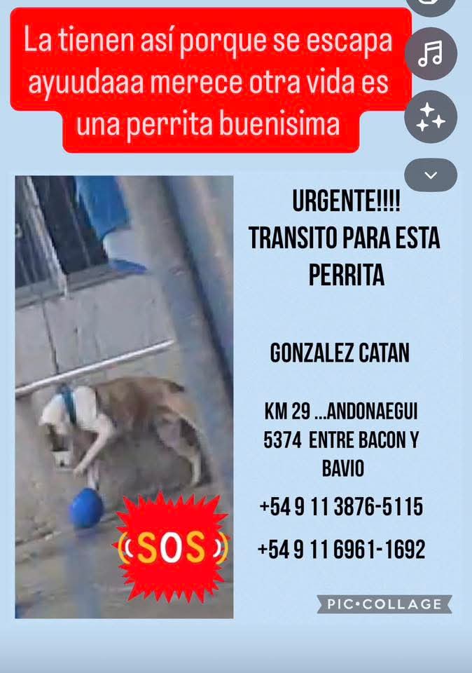 AbrilGo93588411's tweet photo. CON SOLO TRANSITARLA Q FELIZ SERIA ... https://t.co/d0xrqXBmcK