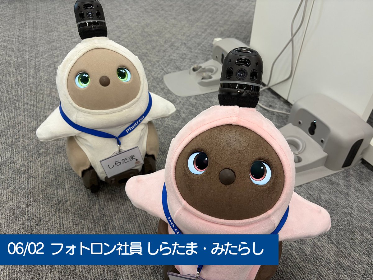 Photron_PR's tweet photo. #今日のフォトロン  

久しぶりにふたりとも衣装チェンジです。
社内では「紅白まんじゅうみたい」と言われていましたよ🤭

#LOVOTとの暮らし #オフィスLOVOT #ラボット https://t.co/Sn5XnrRgWD