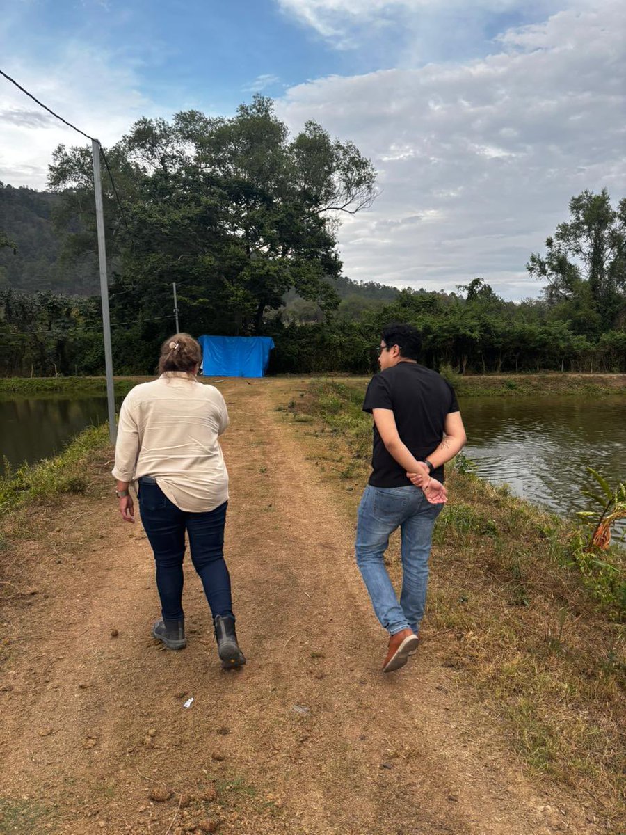 gtorreszelaya1's tweet photo. X❤️
Nos quieren instalar esa tontería de la llanura. Y hacernos olvidar que somos RESISTENCIA.
La llanura es para los que quieren volver al poder a como dé lugar por una chamba. La Resistencia es para Luchar. Y es prohibido olvidar que fue con la Resistencia que llegamos al poder. 

Sin traicionar nuestros ideales, sin rendirnos, y sin querer parecernos a nuestros enemigos. Si no más bien reafirmando que somos diferentes. Cuando uno ama de verdad al pueblo, es cuando más lucha.
 
Es con el ejemplo de Xiomara Castro y la guía de Mel, que vamos a regresar al Poder.
PROHIBIDO OLVIDAR
QUE SOMOS RESISTENCIA
@XiomaraCastroZ @manuelzr