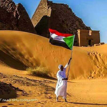 nour_alnwar's tweet photo. ومن فجت تقيف مهزوم 
أنهر النصر قدام
ما دام في بذرة حب يبقي 
العشق موجود https://t.co/nxC7kghQta