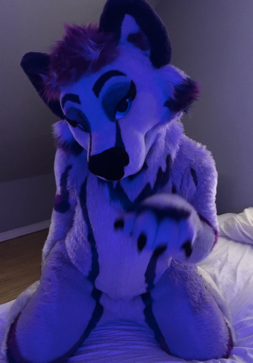 LEWDBastian's tweet photo. Stream tonight with @WarpcoreTwink on @joystickxxx starting at around 11pm EST! https://t.co/V95iqpugST