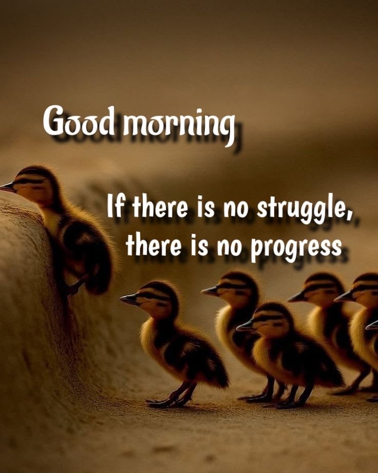 Ruby02896599's tweet photo. #MondayMotivation https://t.co/9YuNBA1au4