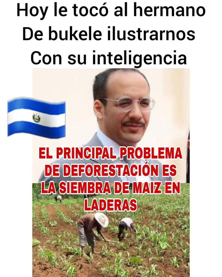 OrionFenix7's tweet photo. Jajaja toda la mara se esta riendo de @Ibrajim en Facebook. Es que según él, en su cabeza eso que dijo sonó bien profundo e inteligente. Todos los agrónomos y agroecólogos del país se están riendo de él y estamos analizando politicamente el mensaje con agricultores y cooperativas https://t.co/pbYZOyRbs3
