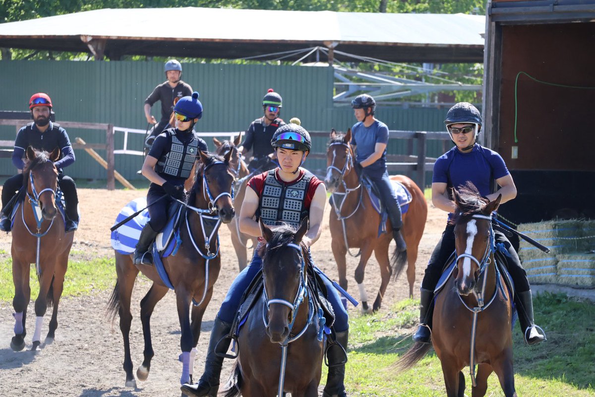 katostable1989's tweet photo. さぁ暑いけど、やるぞー🏇💨 https://t.co/irJ9w23mDF