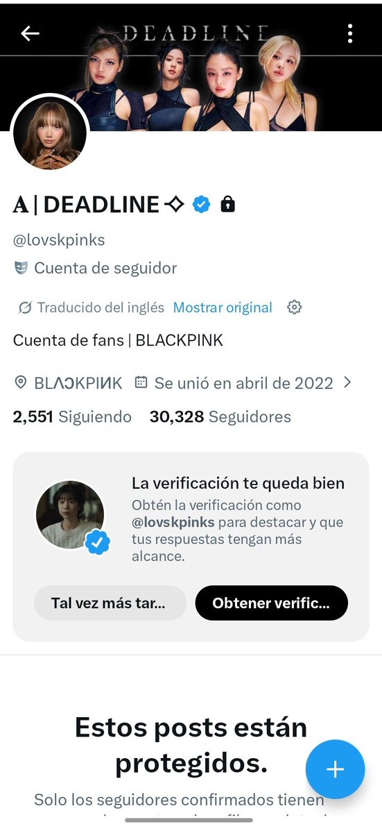 dubu mi nv tweet media