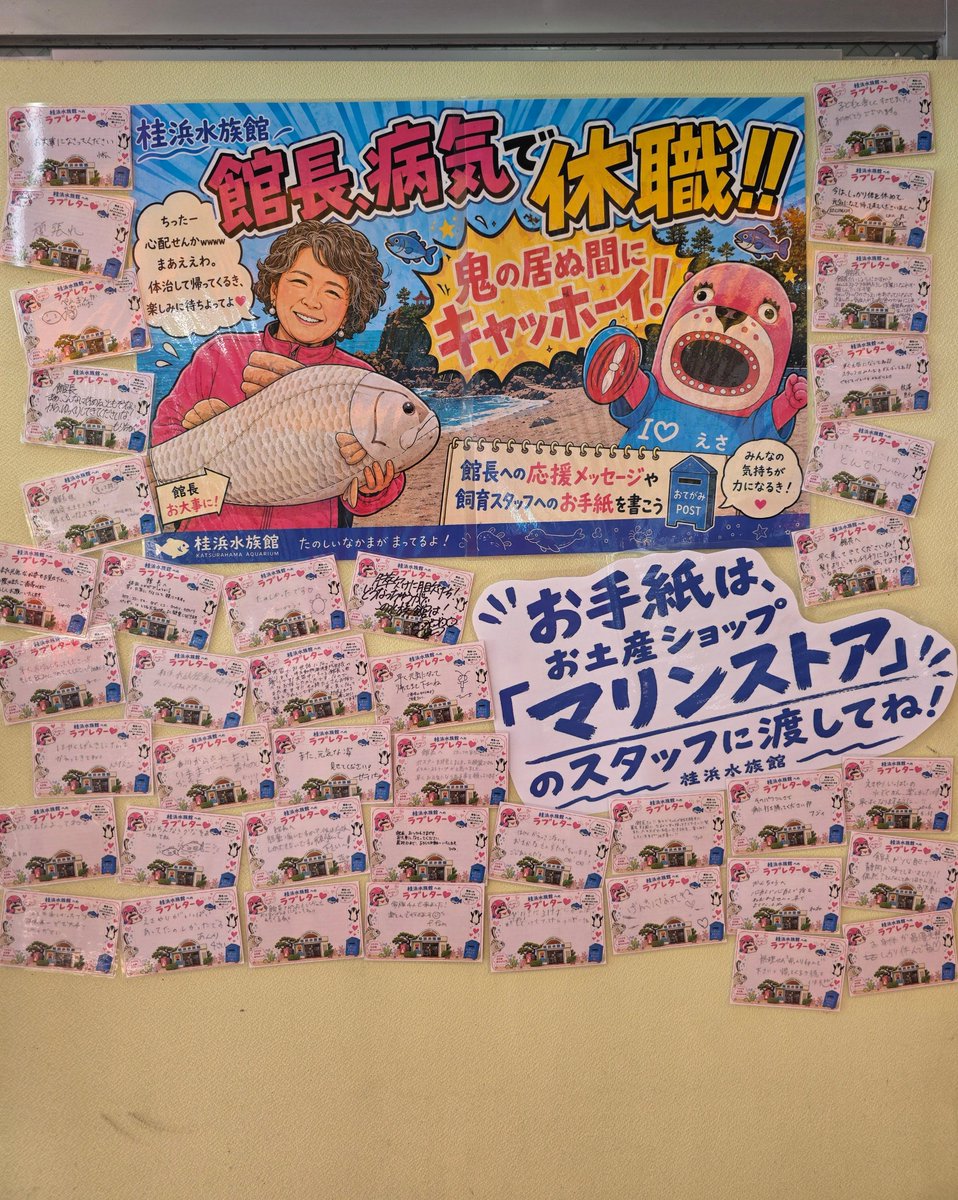 katurahama_aq's tweet photo. ＠全国のハマスイマー
館長への応援メッセージやスタッフへのお手紙を書きませんか？
ラブレターカードに愛の限りを綴って、リプもしくはDMでお送りください。現地掲示板に掲出します♡
鬼の居ぬ間にキャッホーイ！！みんなで桂浜水族館を盛り上げようぜ！！！！ https://t.co/ZSWMmFIZAq