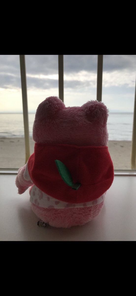 kamenimo1's tweet photo. いつの間にか9年も✨️
ピクルスちゃん達、お誕生日おめでとう🎂いつも癒しをありがとう🥰
これからも皆さんのピクちゃん達や情報を楽しみにしていますので、今後ともよろしくお願いします☺️ #MyXAnniversary https://t.co/gNxnkiurx1