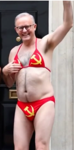 Mike77463289's tweet photo. @AlboMP #FuckOffCommie https://t.co/EvZcNPruDA