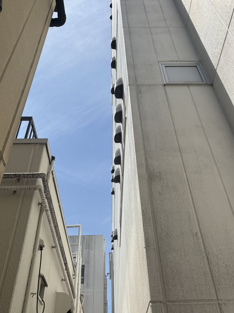 daizen_inc's tweet photo. おはようございます🔅
大善株式会社です💡

今日こそ事務所から見える綺麗なお空をお見せましょう🤩
もう本当に、綺麗な澄み渡る青空。これを毎日見ながらお仕事できるのだから幸せな事です☺️
そろそろ入道雲見られるかな！？

今日も水分補給しっかりとご安全に🙌✨ https://t.co/gvCHgr6tsw