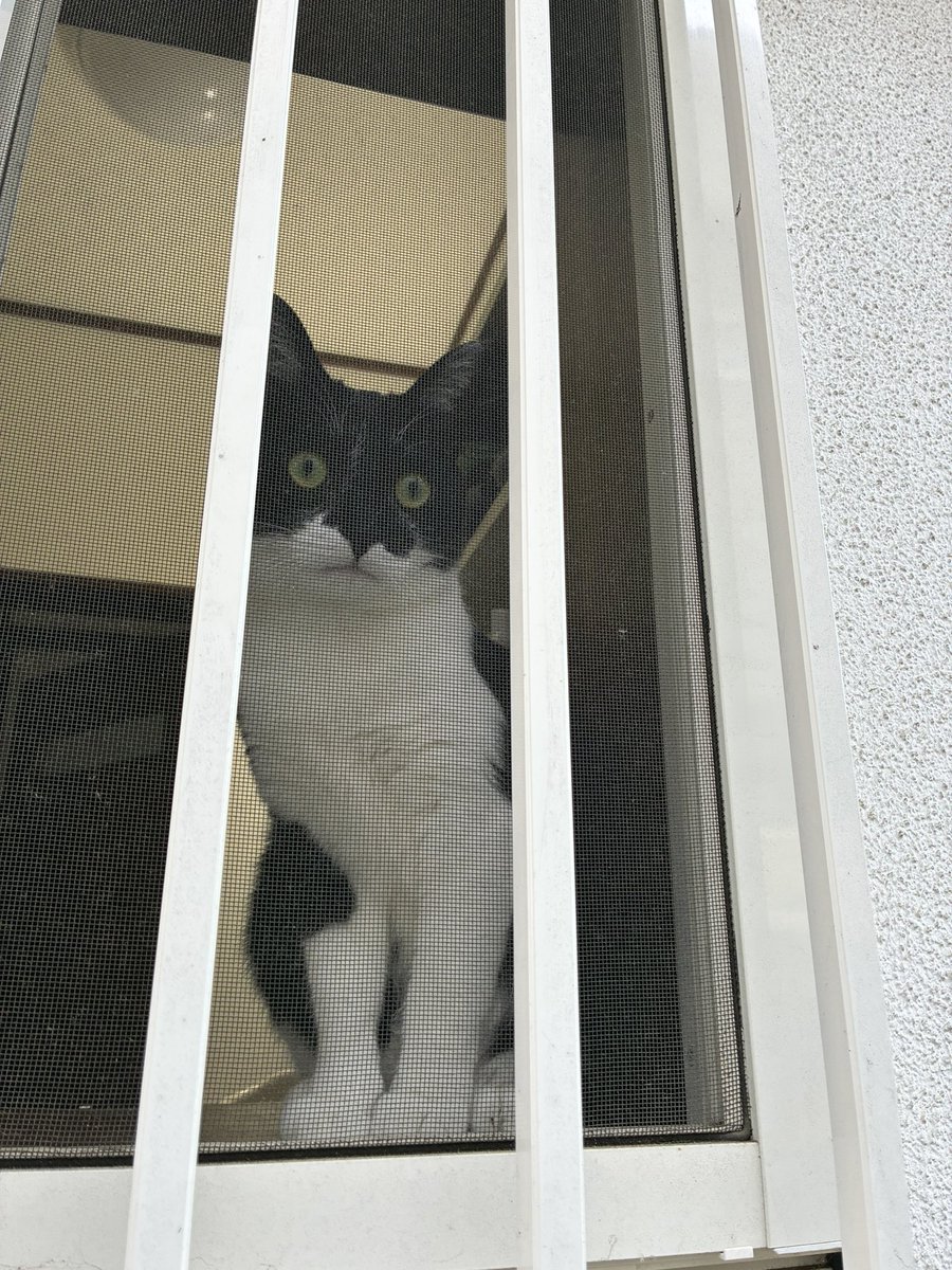 eikochiko25's tweet photo. おはようございます☀ https://t.co/LKu3hSUCyJ