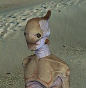 MyStuffSucks's tweet photo. @notcee_fan Whatever this is https://t.co/hxmtzm0Azn