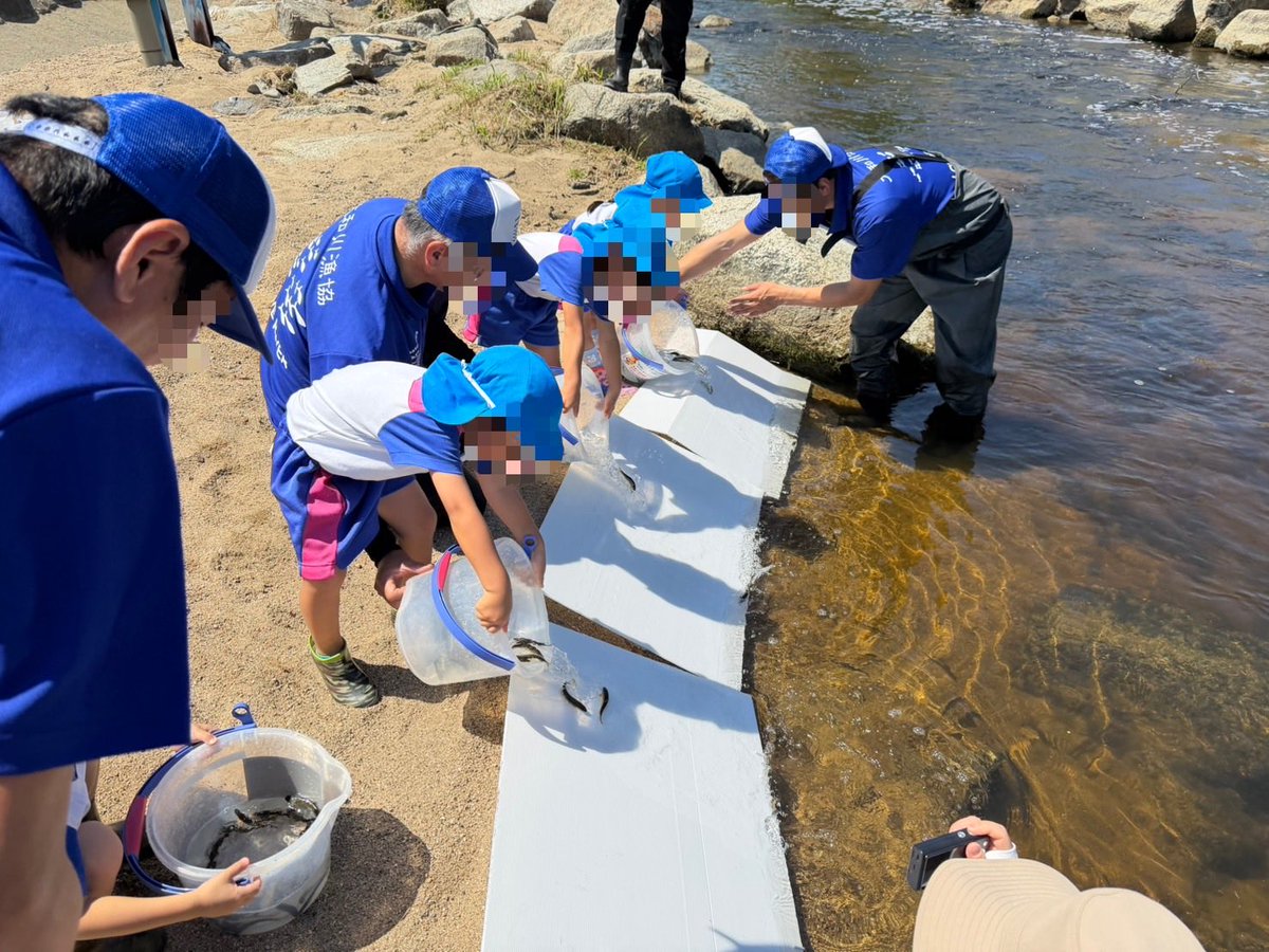 mlit_yamato's tweet photo. 本日🎣大和川水域河川漁業協同組合が大和川の支川 曽我川にアユの稚魚🐟を放流しています！！
 元気いっぱいの園児たちが、命のつながりを体験中🌱
#大和川 #アユ放流  #地域の自然 #子どもたちの笑顔 https://t.co/oSReY7lNa2