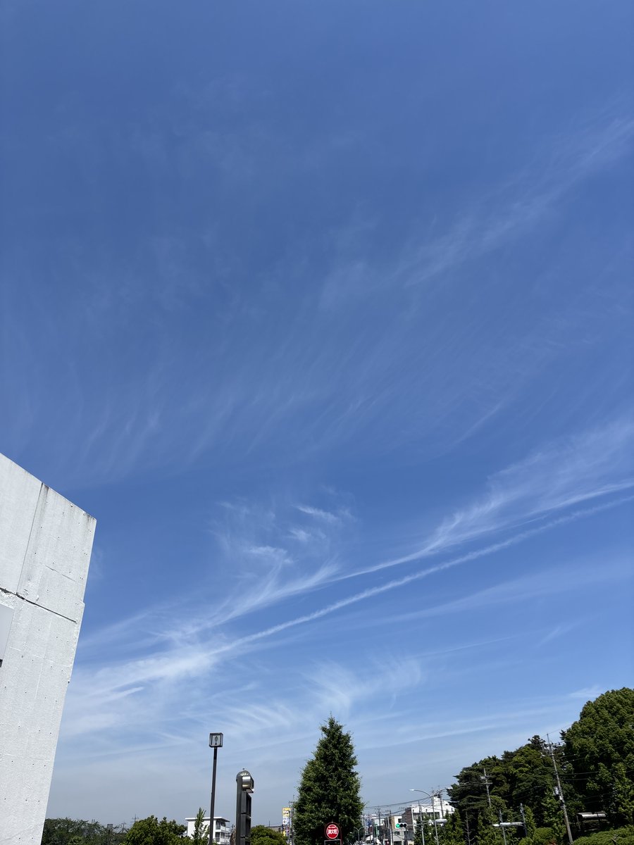 walker0225's tweet photo. 水無月旦日。
朝から☀️晴れて洗濯物🧺が乾きそう！
（明日も晴れてくれんかな？）

みなさん、おはようございます😁。 https://t.co/3XoBq9C9Lp