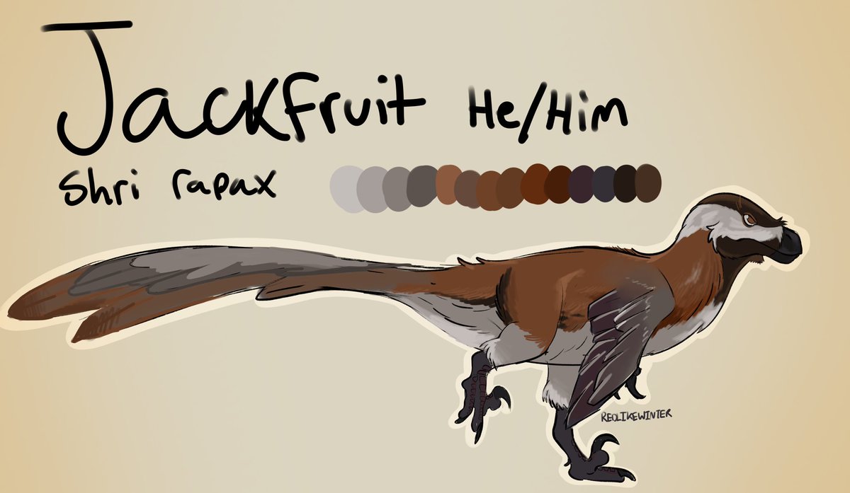 RedLikeWinter_'s tweet photo. Doodled a Shri Rapax reference sheet based off of a chickadee to be adopted by my friends velociraptor chickadee 🔥 https://t.co/kl1eY55cEV