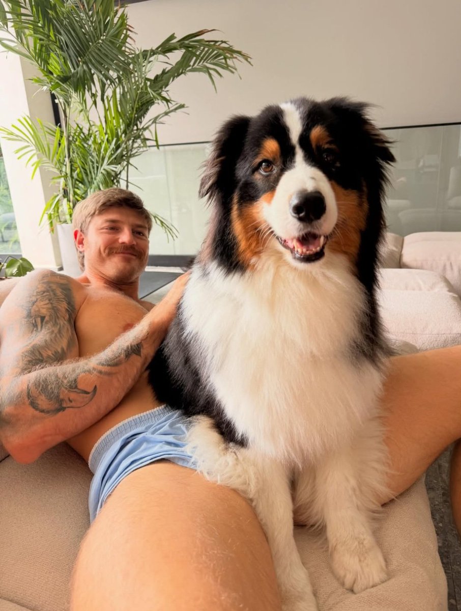DanPimpao's tweet photo. Os pets de Juliette: o cão e o gato. https://t.co/OMOJFXOrKq