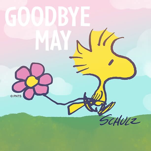 mluna360's tweet photo. Happy Last Day of May 2026! 👋 🎎 🧧 🏮 ✊ 1️⃣5️⃣2️⃣ 🌹 🧲 🏇🏼 4️⃣ ⭐ 🌠 🛰 🚀 🛸 🎥 📽 🎞️ 🎬 4️⃣ 5️⃣ 🇲🇽 🎉 🎊 🤠 🪗 🎺 🎸🎻 💃🕺 🥙 🌮 🌯 🍾🍸🍹🥂 👩🤰🤱 👵 🇺🇸 🪖 👨‍✈️ 👩‍✈️ 👑 👸 🇨🇦 🦅 🏎 🛣🚦🏁 5️⃣0️⃣0️⃣ 🇺🇲 👨‍✈️ 👩‍✈️ ️👨‍🚒 👩‍🚒 👮‍♂️ 👮‍♀️ ⚰️ ⚰️ ⚰️ ⚰️ 🪦 🪦 🪦 🪦 https://t.co/K0ydxMZ6NJ