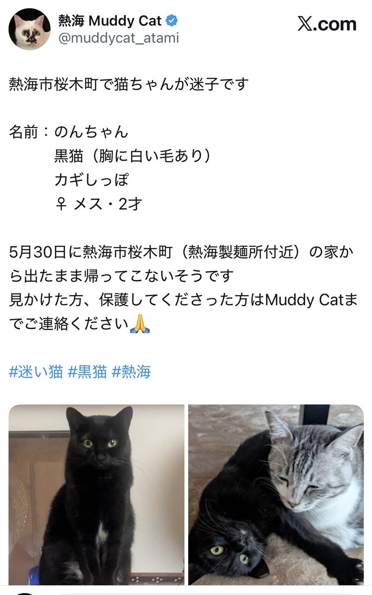 Post by hedgehog on X: よかった！