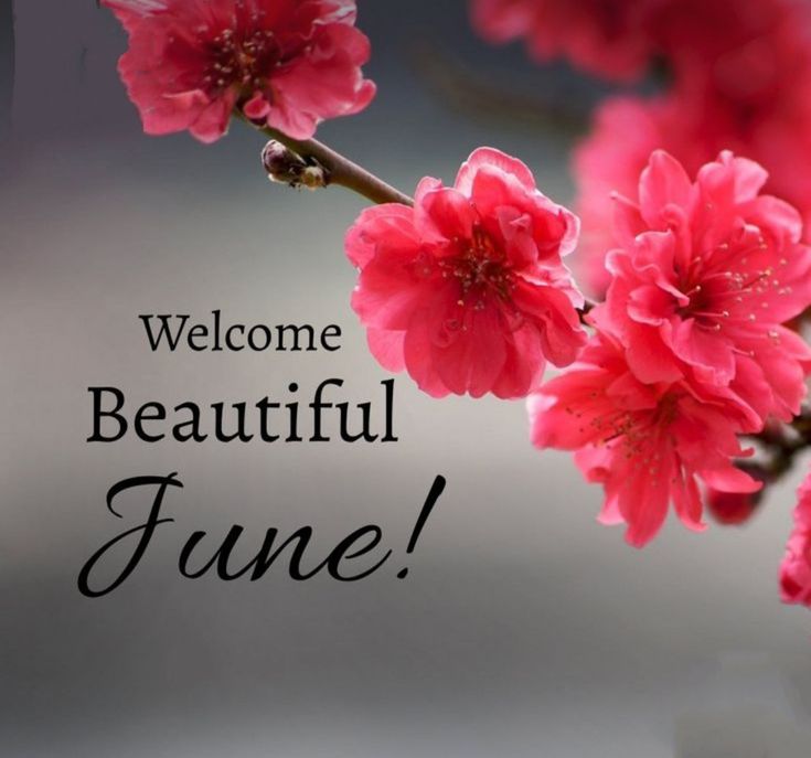 Debbimarijay's tweet photo. No matter how May ended, may June begin with mercy and testimonies  🙏 https://t.co/BTiEbAmeAz