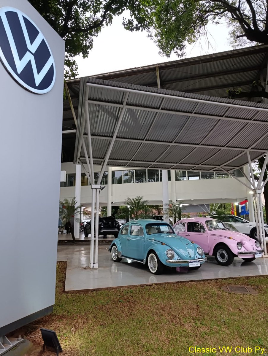 CVWC_PY's tweet photo. MES DEL FUSCA
 22 de junio Día Mundial del Fusca DMF. 
Juntamente con DIESA impulsamos la campaña MES DEL FUSCA, durante todo el mes de junio nuestros socios estarán exhibiendo sus clásicos seleccionados por DIESA (2 autos por semana) en la sucursal de Mcal. López. #volkswagen https://t.co/DvSCqcgoGR