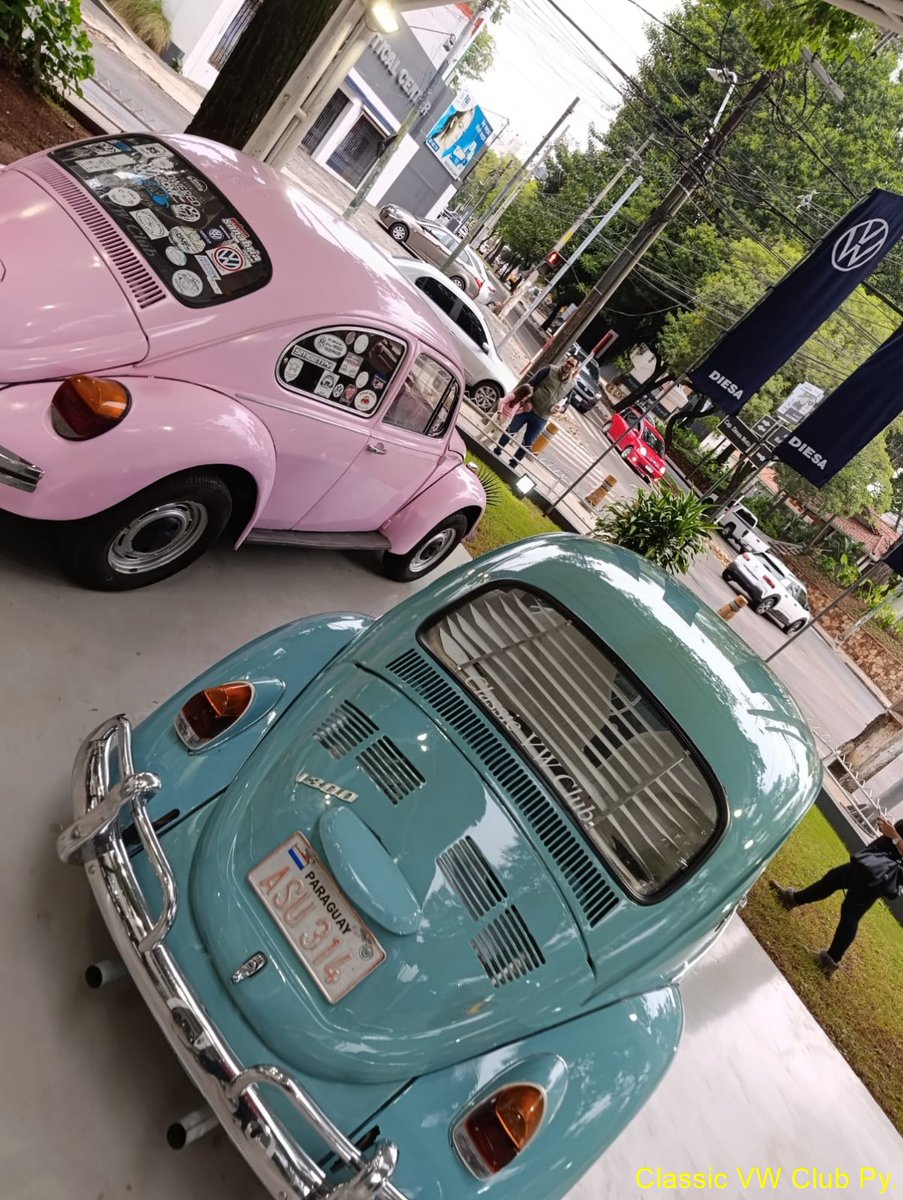 CVWC_PY's tweet photo. MES DEL FUSCA
 22 de junio Día Mundial del Fusca DMF. 
Juntamente con DIESA impulsamos la campaña MES DEL FUSCA, durante todo el mes de junio nuestros socios estarán exhibiendo sus clásicos seleccionados por DIESA (2 autos por semana) en la sucursal de Mcal. López. #volkswagen https://t.co/DvSCqcgoGR