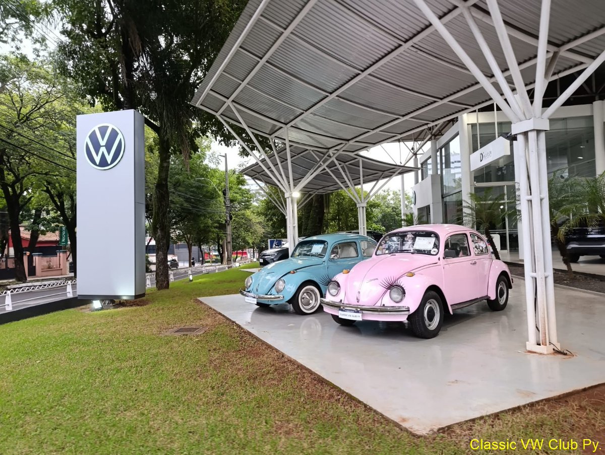 CVWC_PY's tweet photo. MES DEL FUSCA
 22 de junio Día Mundial del Fusca DMF. 
Juntamente con DIESA impulsamos la campaña MES DEL FUSCA, durante todo el mes de junio nuestros socios estarán exhibiendo sus clásicos seleccionados por DIESA (2 autos por semana) en la sucursal de Mcal. López. #volkswagen https://t.co/DvSCqcgoGR