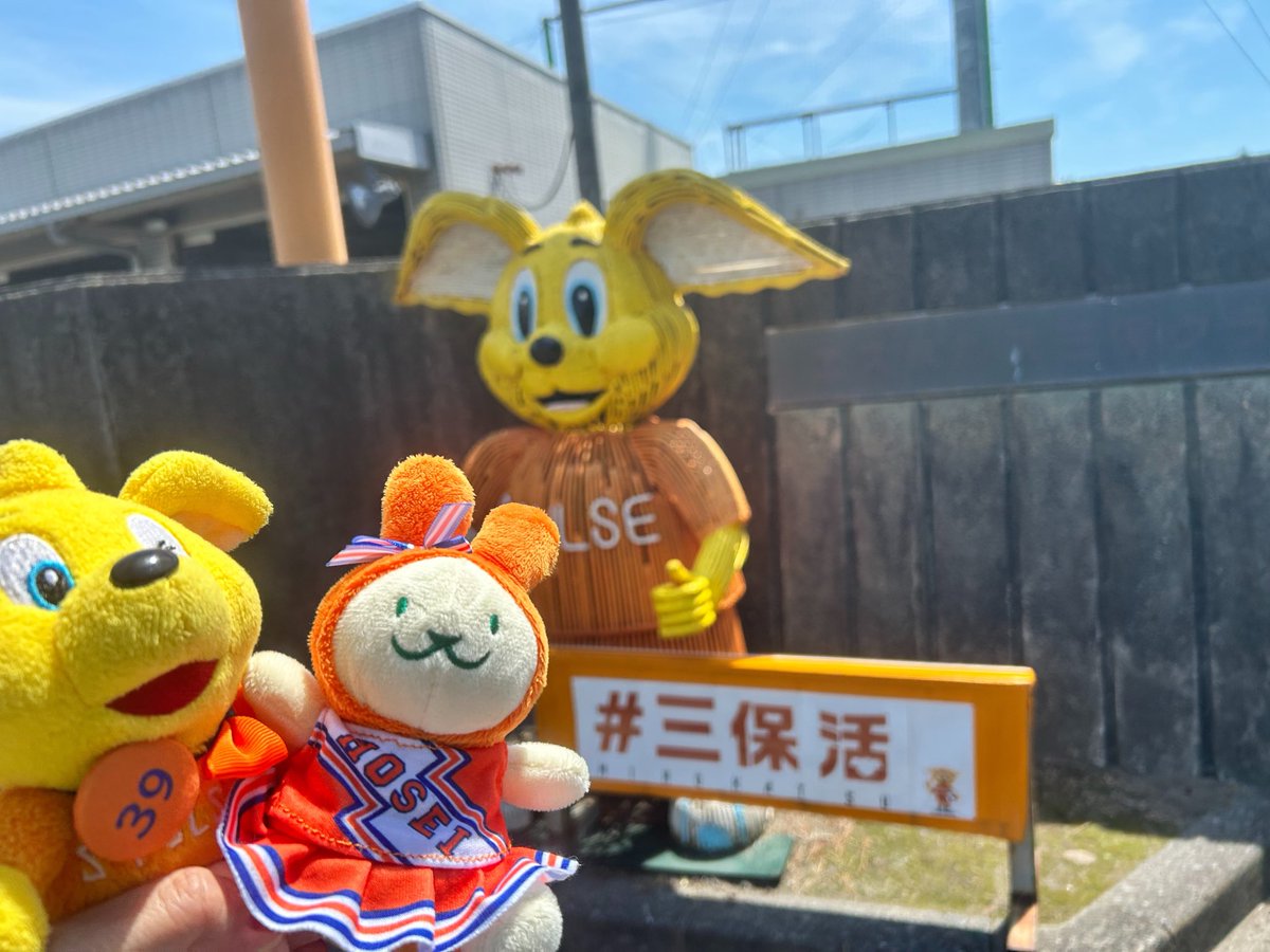 spulsepuma's tweet photo. 今シーズン初 #三保活

#spulse https://t.co/SFx7xorNCq