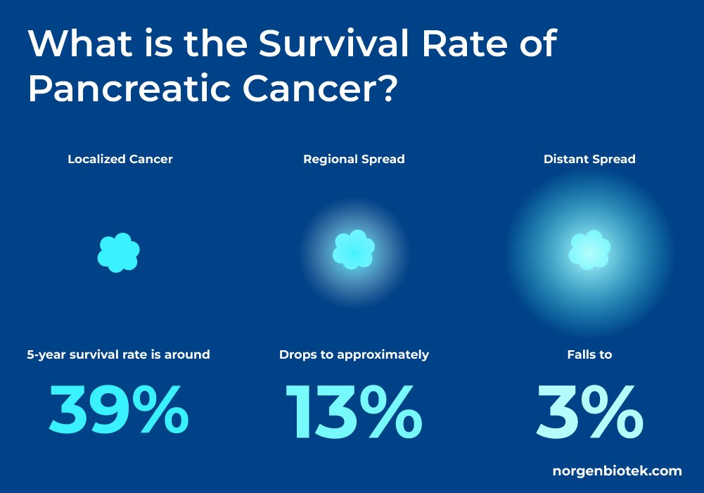 parmita's tweet photo. and remember what this drug is up against.

PDAC is the deadliest major cancer there is

the only one with a 5-year survival still under 20%. frozen at 13% for three years straight while nearly every other cancer improved. https://t.co/pqPWN3dxBC