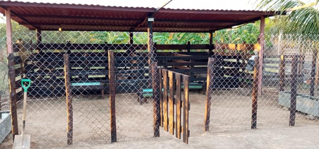 Osnelrodriguez's tweet photo. Mi reflexión es: no dejar de motivar a una familia productiva o un pequeño productor! cuando no se tiene el apoyo, y aún existiendo, simplemente se subestima, y que hoy en día sea reconocida la idea, pero ya sea tarde, el paciente ya no aguanto más anestesia! HILO 🧵👇🏼
#Aprisco https://t.co/BAoA57uPcq