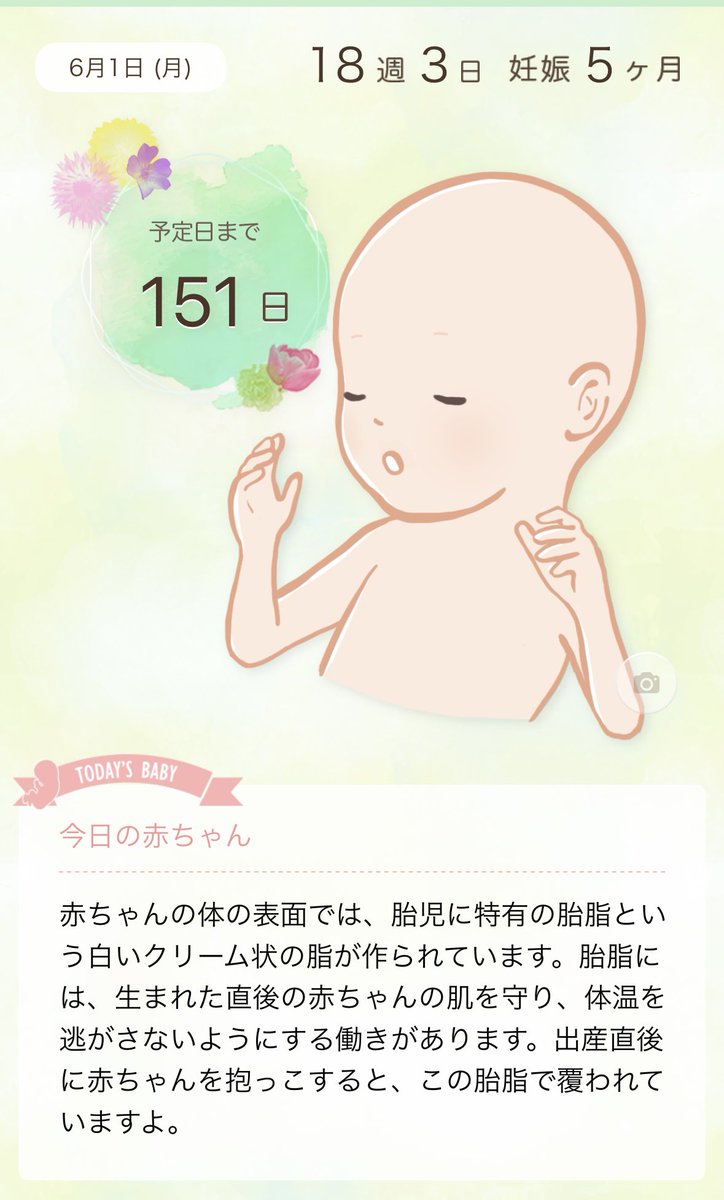 uknow0305's tweet photo. 2026/6/1

膀胱炎かも？と思い病院へ
朝一診察してもらったけど
膀胱炎じゃないかも…？😂

とりあえず抗生物質2日分
終わって終了

ついでにエコーもお願いしたけど
ベビちゃん今日も性別は確定せず😂 https://t.co/Mk3HnzsI3q