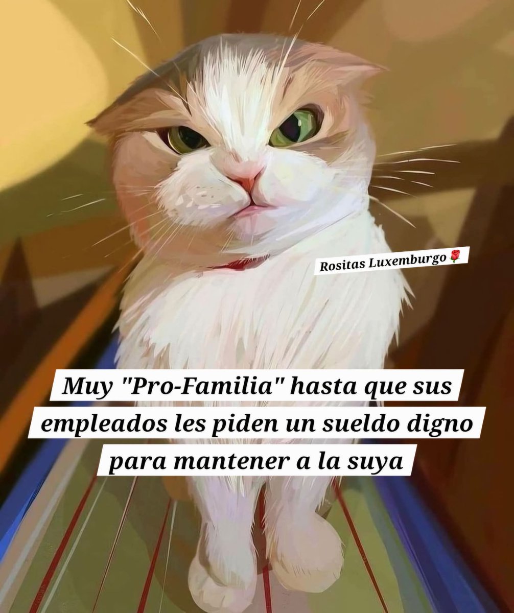 PatitaGastineZ's tweet photo. Esos #ProVida y #ProFamilia.... https://t.co/8ikYeffYpP