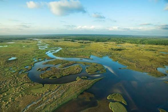 DillonLWhitcomb's tweet photo. @GrtCdnNeckbeard @FuckItImKing @mrs_alyse Sorry. He now changed to east and west coast in the US are the same. Everyone knows the Everglades in Florida and Death Valley are exactly the same. https://t.co/dYU0PAl1PQ