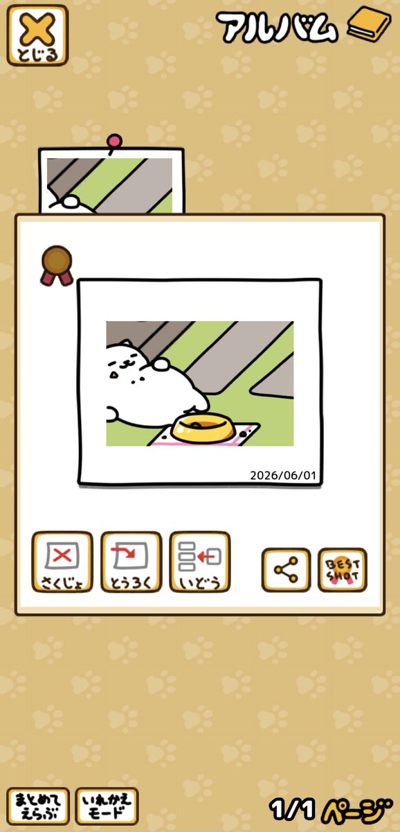 s_weets1's tweet photo. 今日は見れたー
4匹いた𐔌՞ ܸ.ˬ. ܸ՞𐦯🩷 ̖́-
 #ねこあつめ2 https://t.co/XiyQZOnGCz