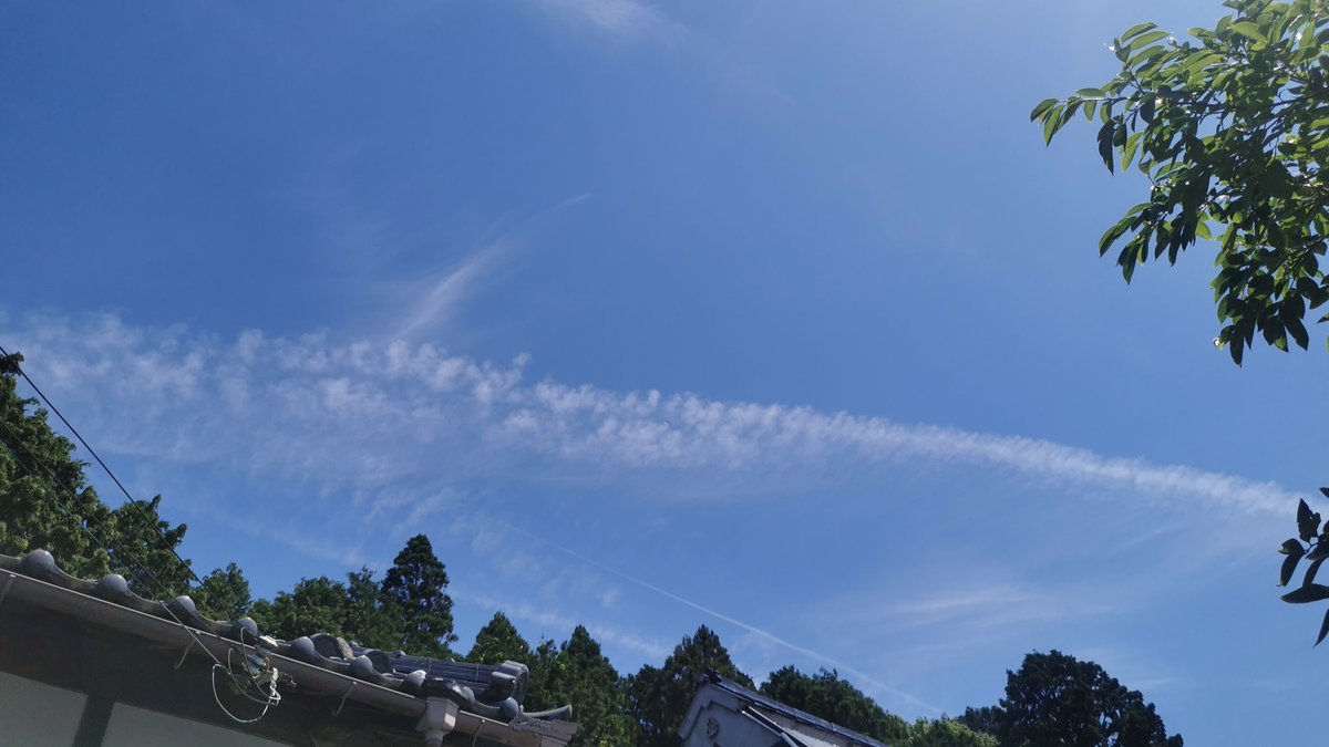 ayaco7's tweet photo. 滋賀県甲賀市 am10:13 https://t.co/h78FHpIVLY