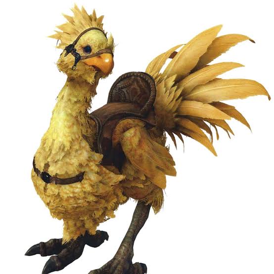pembrosfoda's tweet photo. nickzin primeiro jogador a pegar top 3 em um major só com solo chocobo https://t.co/L4n6BC7Oos