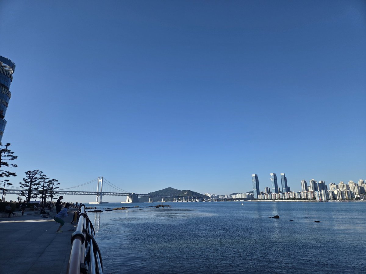 yeoth1224's tweet photo. 유월의
시작
소요(逍遙) https://t.co/MYZus6RxOg