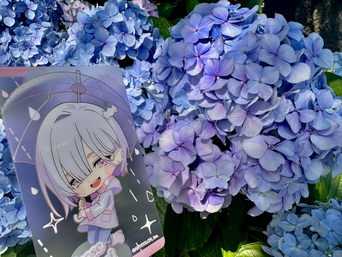 PAL_monst's tweet photo. 梅雨の時期 https://t.co/9k5khjnpzO