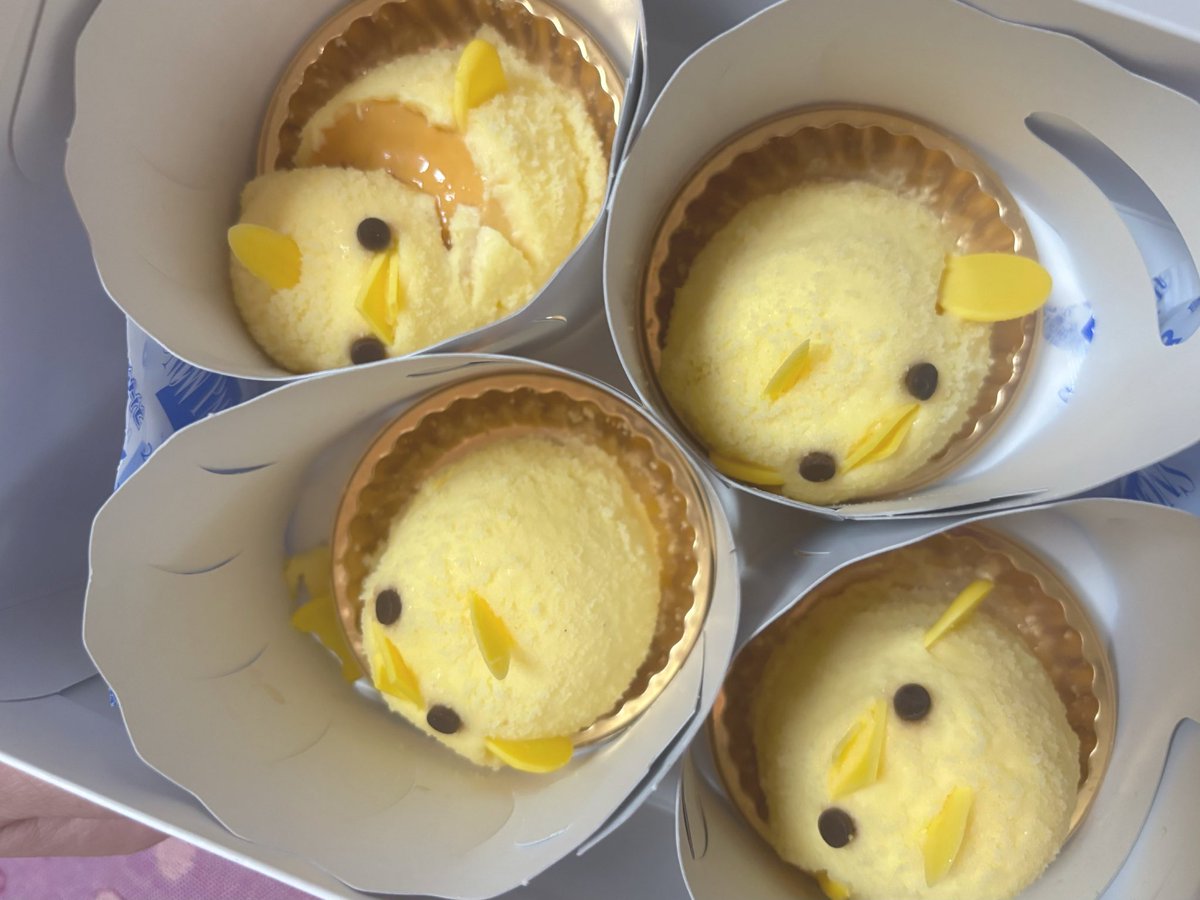na_runsub's tweet photo. 🐥ぴよりんチャレンジの結果🐥 https://t.co/9O9FXwBY4t