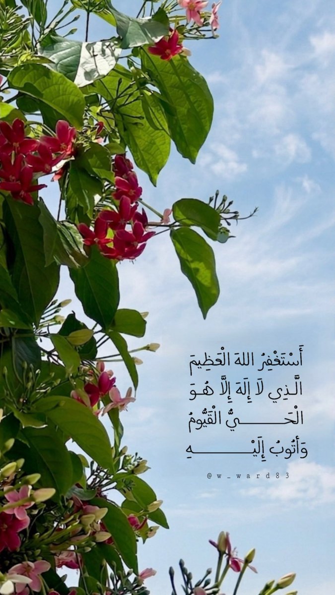 W_ward83's tweet photo. #الخطوط_الجوية_الكويتية https://t.co/RdoCh5BPnE