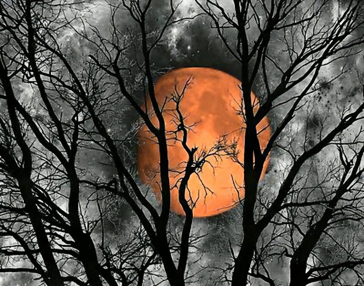 beyondreason22's tweet photo. To all a good night https://t.co/fnZfj7dKlc