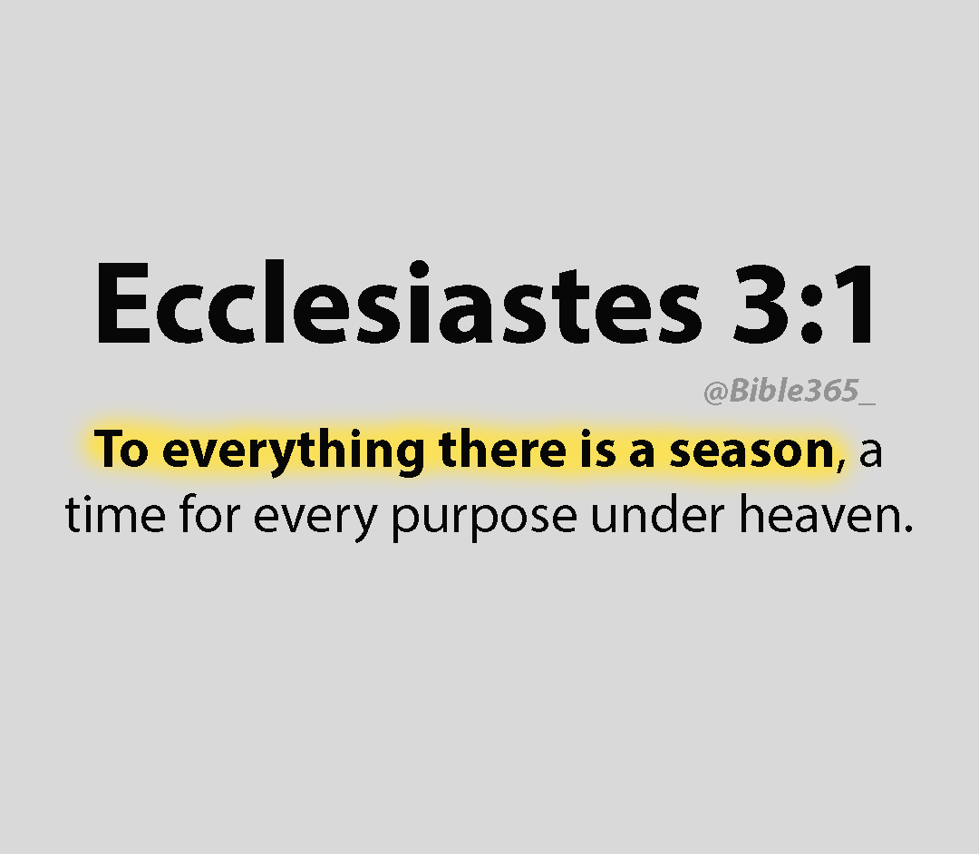Bible365_'s tweet photo. https://t.co/B6Xbe9DgYP