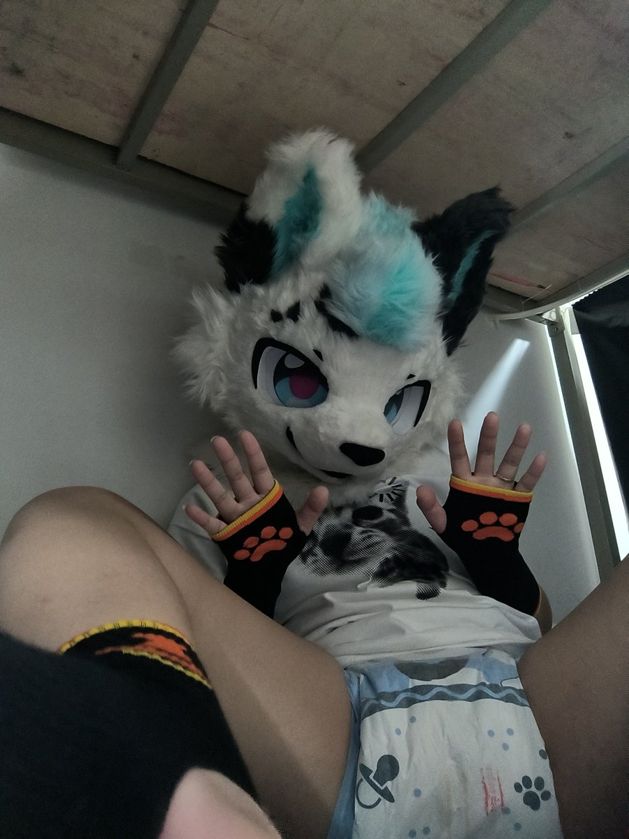 yy7furry's tweet photo. Dog meets dog, perfect combo.
#furryㅤㅤㅤ https://t.co/KEAz9V9lKu