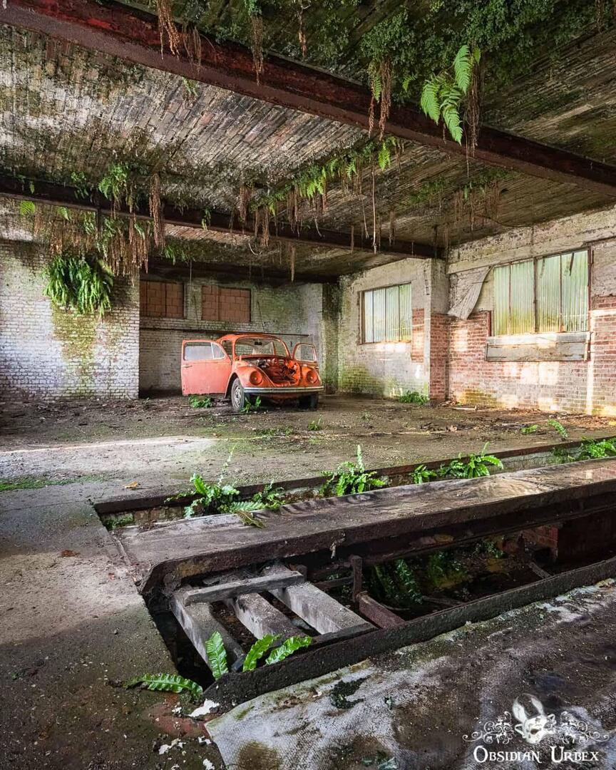 ObsidianUrbex's tweet photo. 🌿🐞 Little lost Red Bug. A VW Beetle left inside an abandoned garage in Belgium

https://t.co/HOrNisIsSB

#Barnfind #VWBeetle #Abandoned https://t.co/5AqfthbhOY