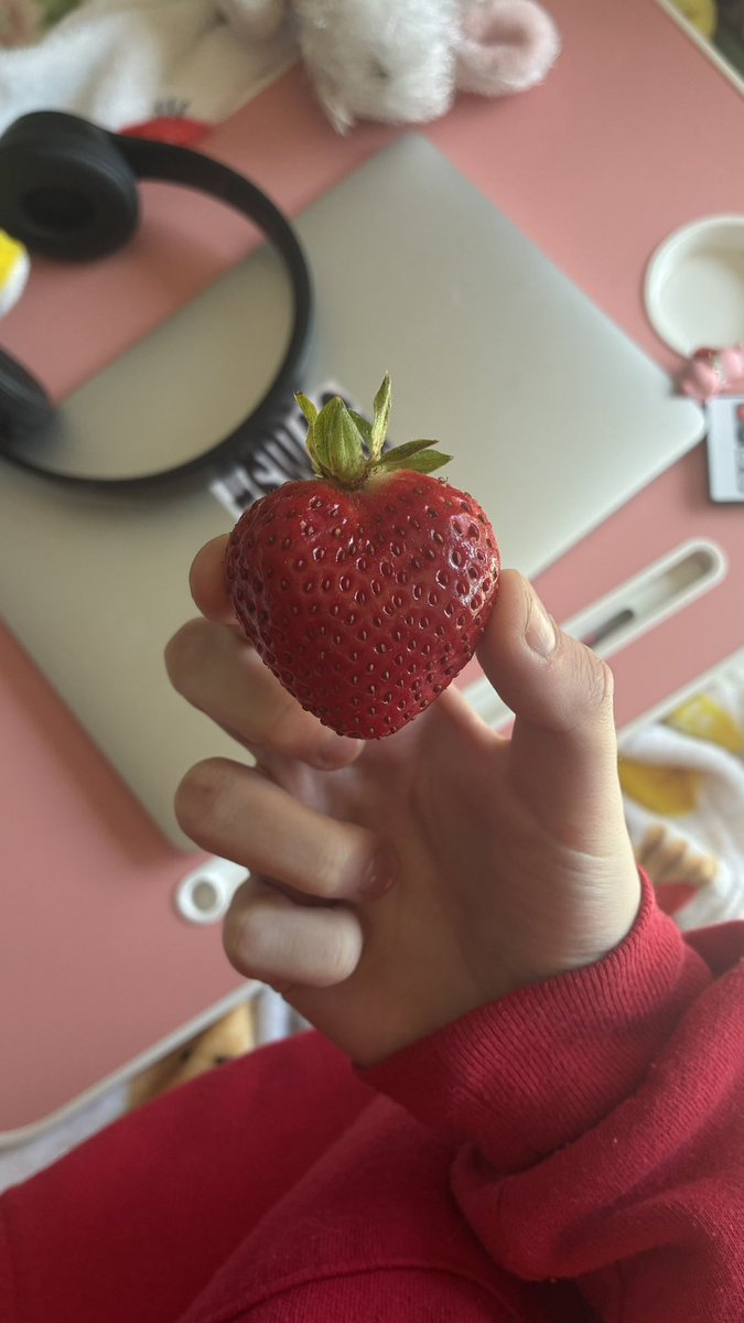 beascalories's tweet photo. worlds slowest eater don't mind how it's been two hours. this one is a heart i wanted to share 😊 https://t.co/2k5SR4nqtX