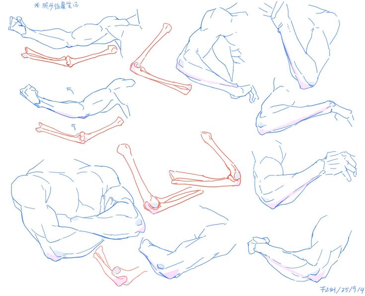 fznutri's tweet photo. Strong arms need clean mechanics.
Bones are incredibly important, even if they don't seem like it. https://t.co/jFT4hp16nS