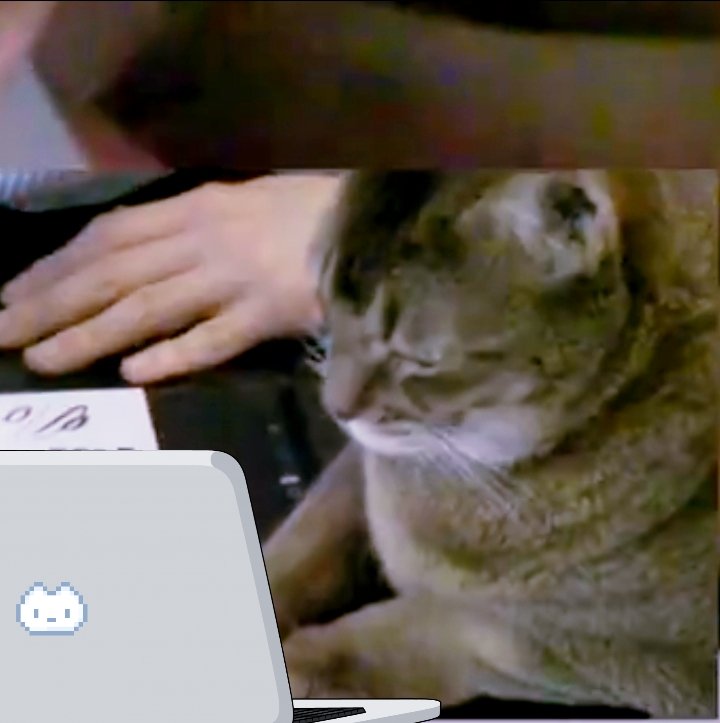 melon_gummy's tweet photo. CEOありがとう🐱💻👍🏻👍🏻👍🏻✨✨✨🖤 https://t.co/vRFtl3hmeK