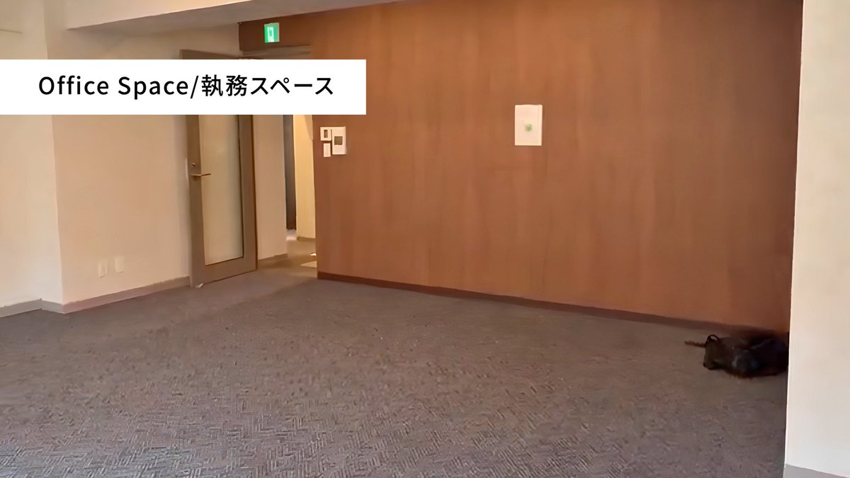 three_star333's tweet photo. 【岩本町エリア】
シックでモダンな一部内装付きオフィスのご紹介😊

家具・モニター付きの会議室も完備されています！

  #岩本町エリア /  #ハーフセットアップオフィス / #10名 /#半内装付き https://t.co/WD7bMloi0V