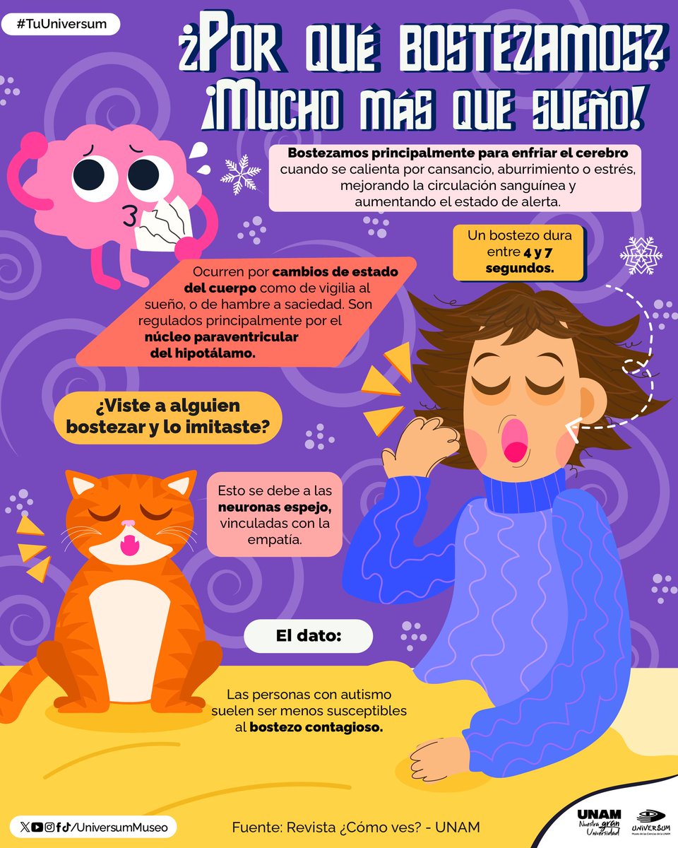 UNAM_MX's tweet photo. Si ves bostezar a alguien, ¿tú tambiénn lo haces? 🥱
Infografía de @UniversumMuseo 👇. https://t.co/YEHUfGty96