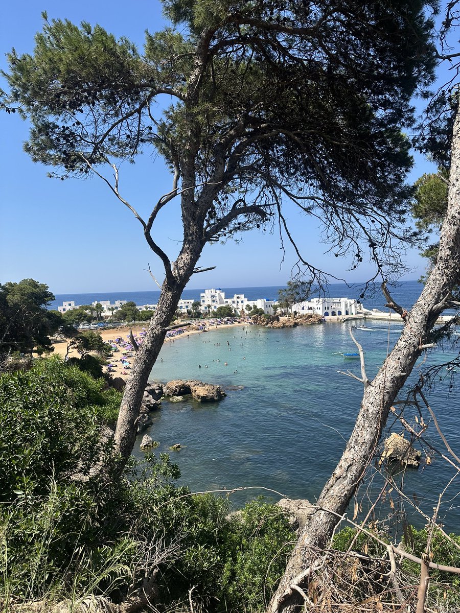 EeBeste's tweet photo. TIPAZA 🩵 https://t.co/d9Gvm7rQAV
